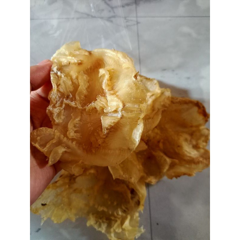 

PERUT IKAN / FISH MAW / HEPIO MENTAH / HEPHIO / GELEMBUNG IKAN MANYUNG / GELEMBUNG IKAN MAYUNG / PERUT IKAN MANYONG / ENG PHIO / HI PHIO / Hipio