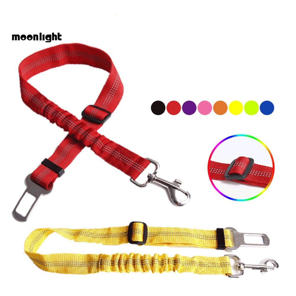 dog safe rope