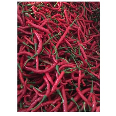 

Cabe merah Keriting 1kg - 1000gram