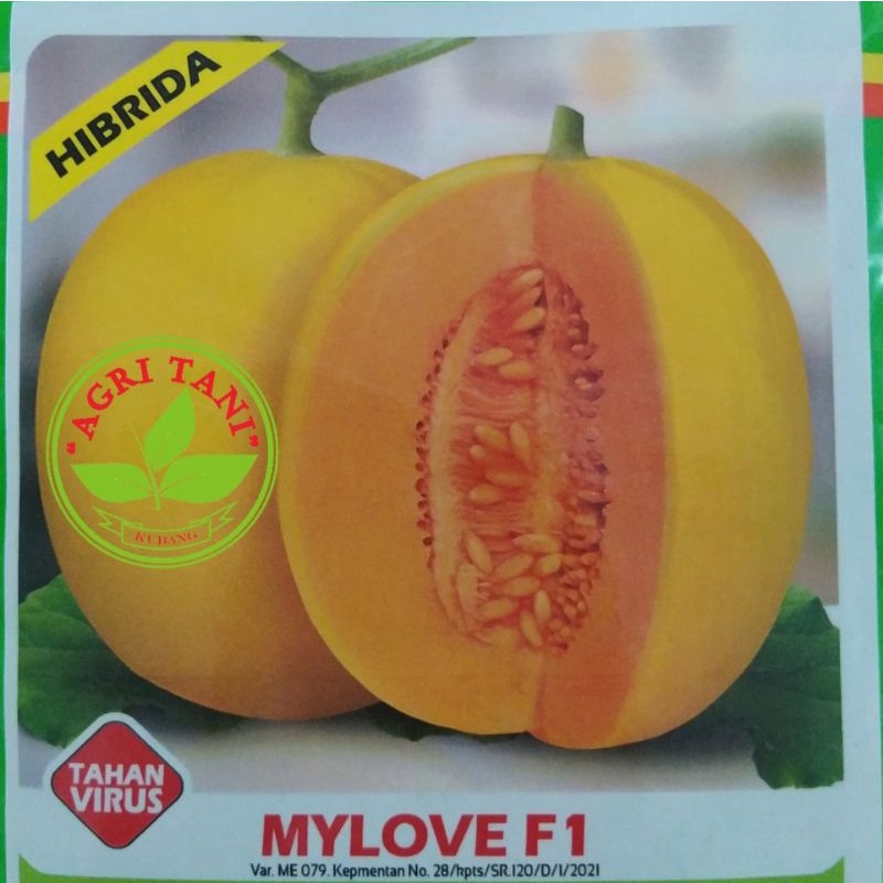 BENIH MELON MY LOVE BINTANG ASIA