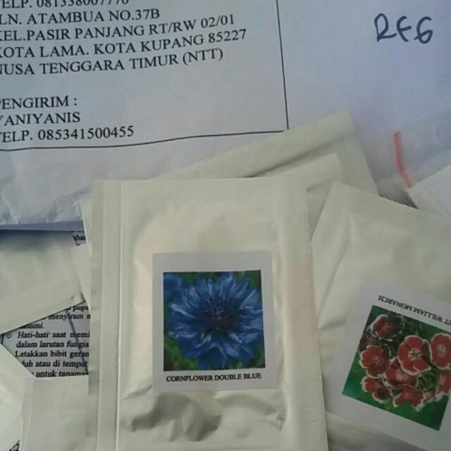 Biji Bunga Blue Europan Primrose