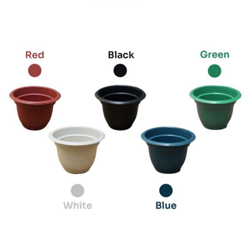 POT BUNGA ROSE MAWAR NO 6 - Diameter 10 CM