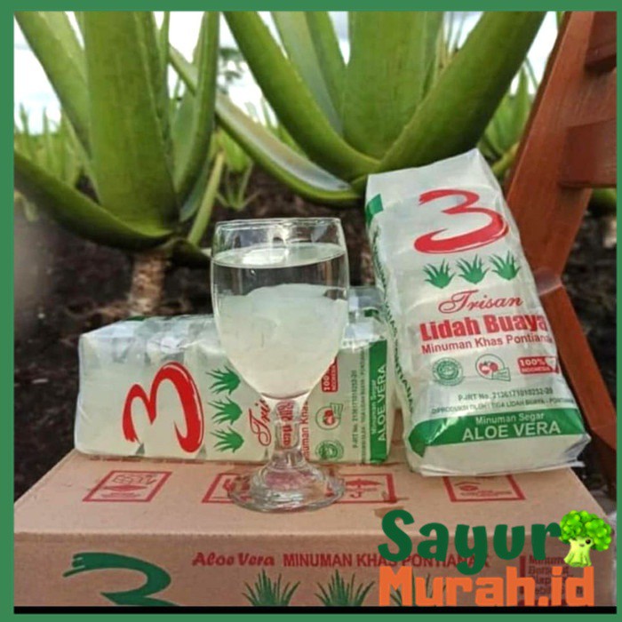 

Lidah Buaya Rasa Leci | Minuman Khas Pontianak | Aloe Vera