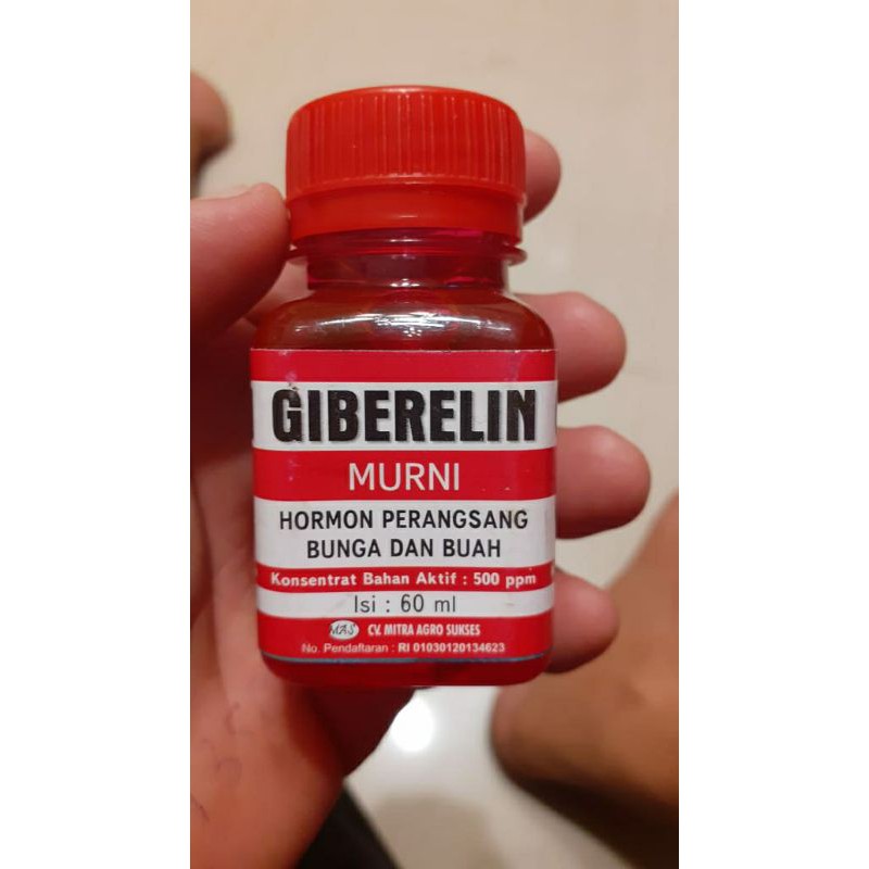GIBERELIN 500ppm