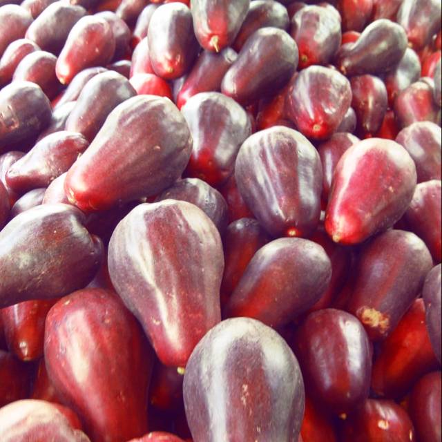 

Jambu air jamaica