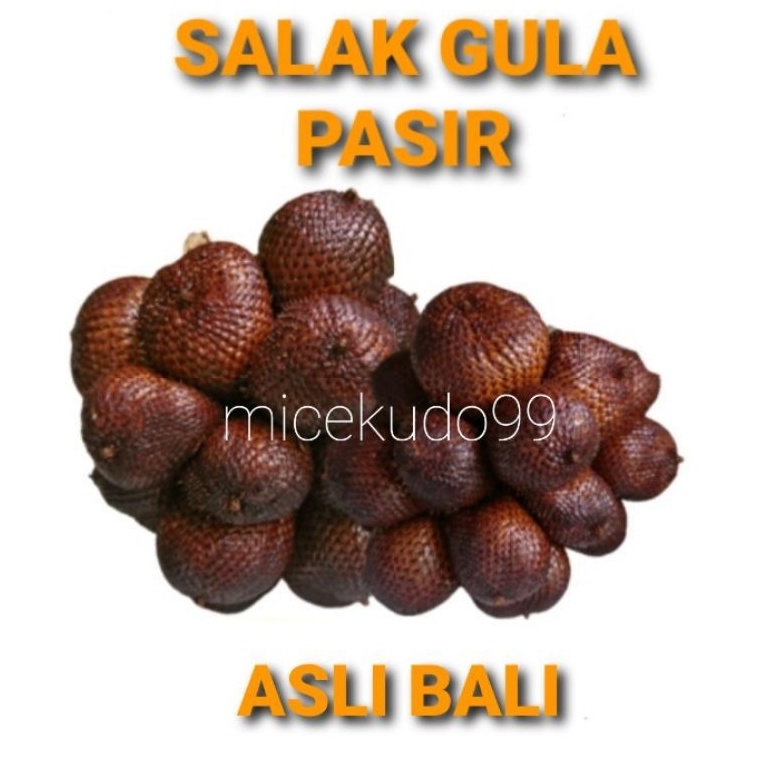 

1 KG SALAK GULA PASIR ASLI BALI KARANGASEM / BUAH FRESH BALINESE SNAKE FRUITS