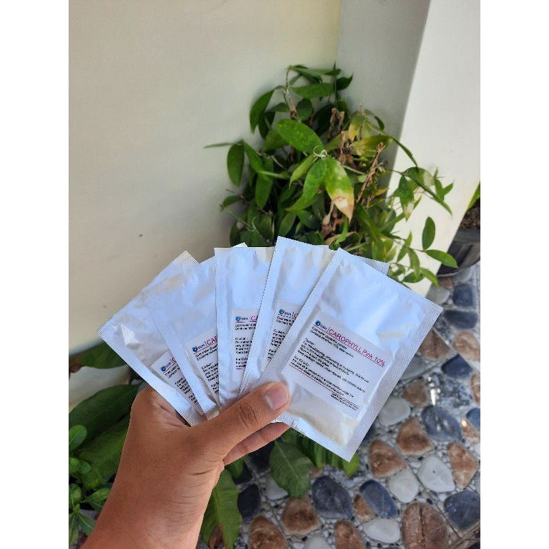 Carophyll Pink 5gr Ori DSM