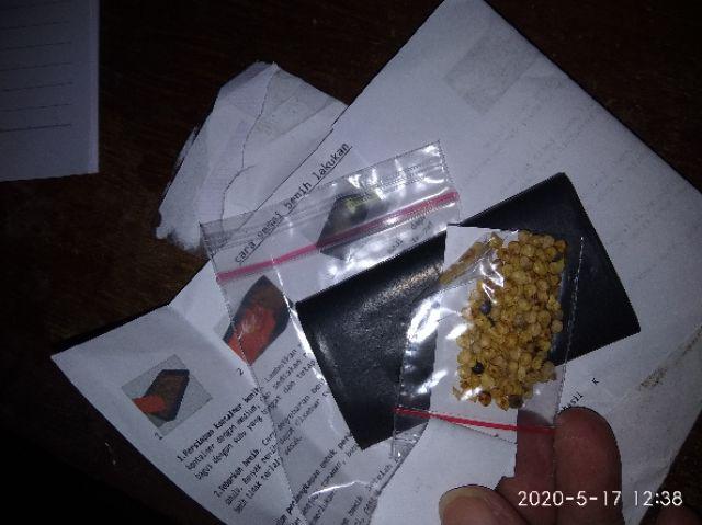 Paket Hemat Bibit Benih Biji Tanaman Cabai Hias Unik Red Habanero Hitam Black Royal Pepper
