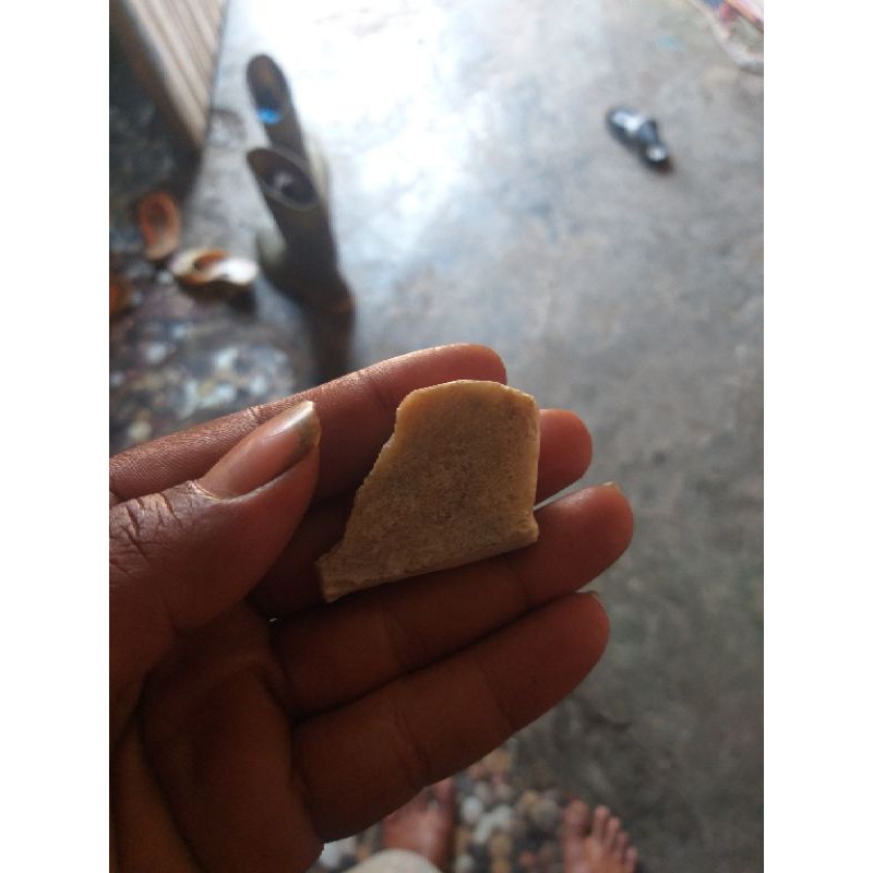 kristal mani gajah 2 alam