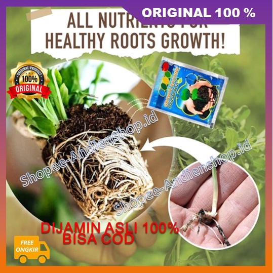 BELI 1 GRATIS 1  Growth Rooting Powder Plus 100% ASLI