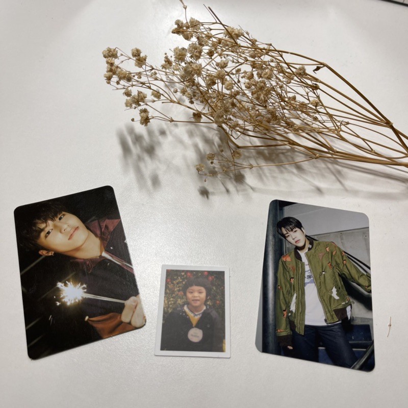 [OFFICIAL] Photocard & Postcard Treasure Jaehyuk, Jeongwoo, Doyoung,Junghwan