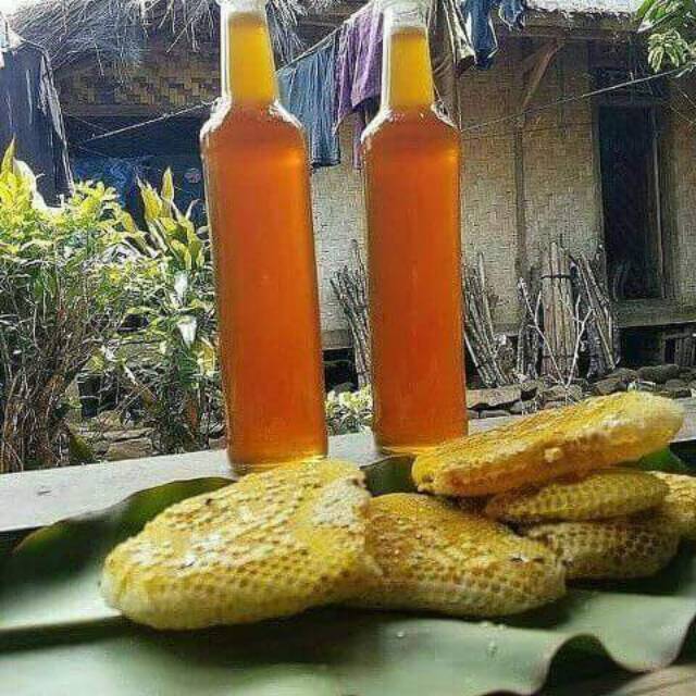 

madu asli lebah berkhasiat