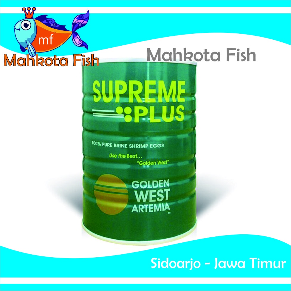 Artemia Supreme Plus | Golden West Artemia | Daya Tetas Tinggi | Makanan Vitamin Ikan dan Udang