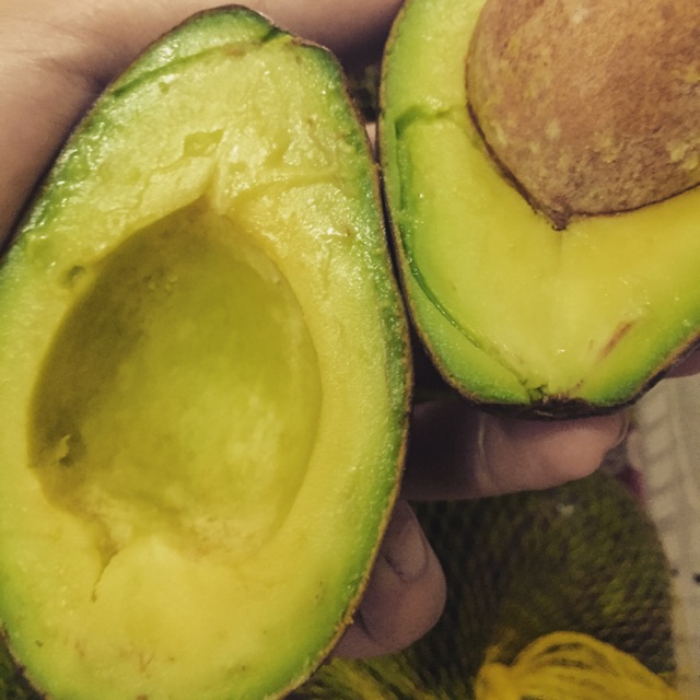 

Alpukat Alpuket Mentega Super Bekasi