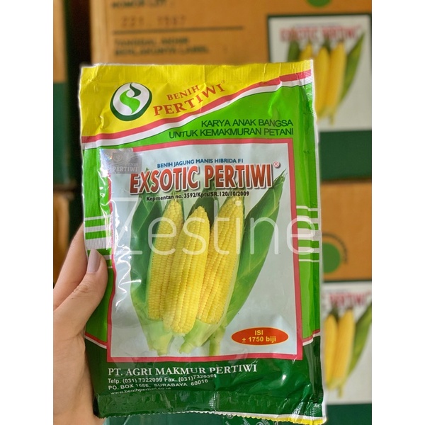 [Tani] Benih Bibit Jagung 250gr Exsotic Pertiwi