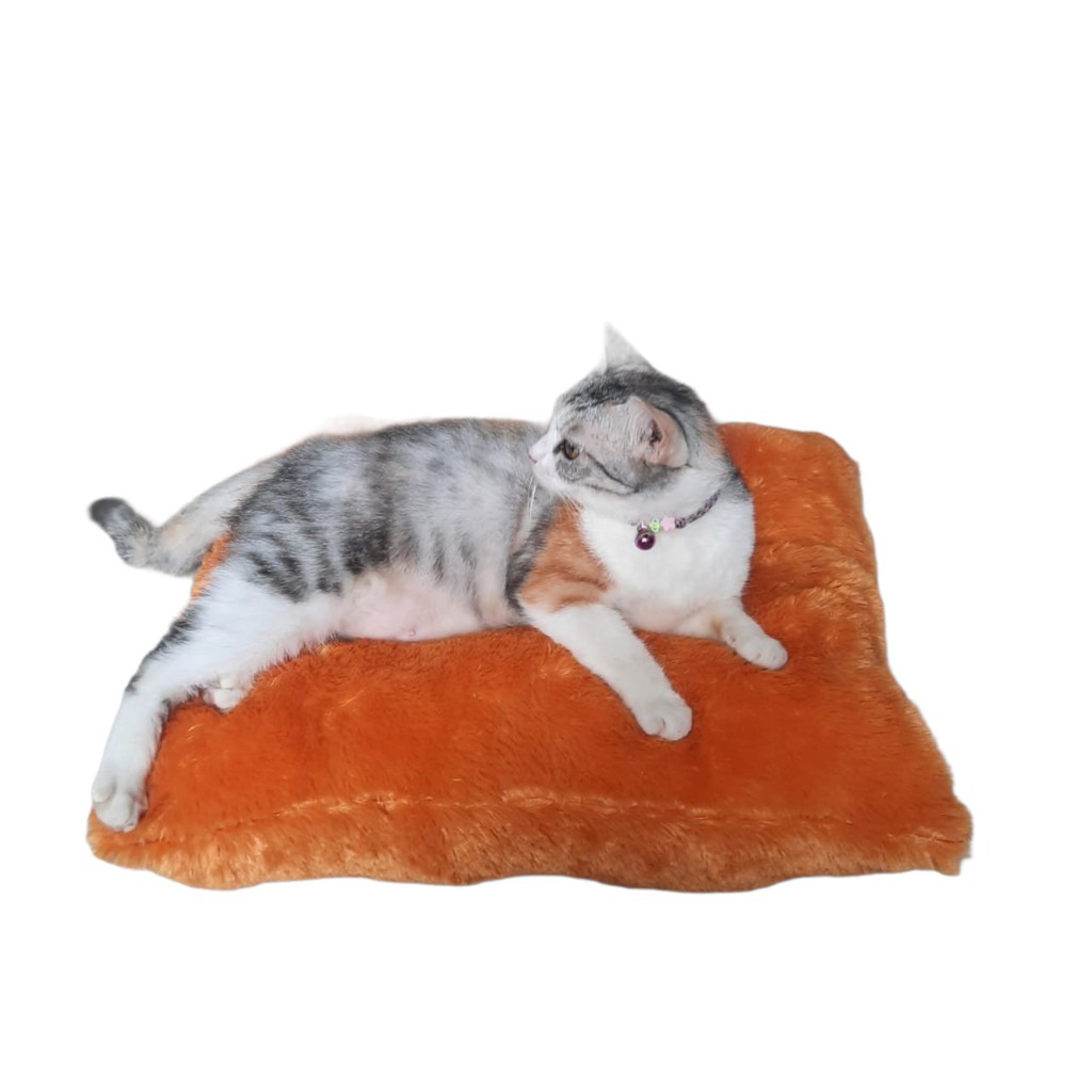 NEW BANTAL BULU HEWAN PELIHARAAN KUCING ANJING