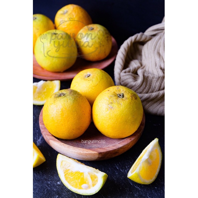 

JERUK BABY | Jeruk Baby Sweet Java Malang