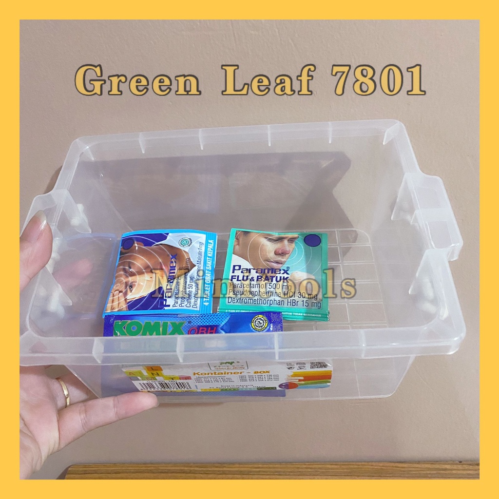 Box Container Kecil Serbaguna / Kotak Masker / Kotak Obat / Green Leaf 7802, 7801