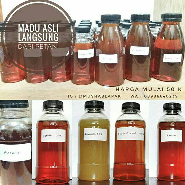 

MADU MURNI , MADU ASLI , MADU LANGSUNG DARI PETANI