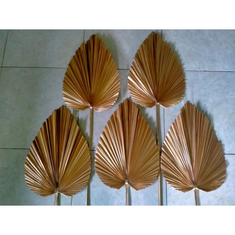 DAUN PALEM MINI LUCU GOLD | DEKORASI | RUSTIC