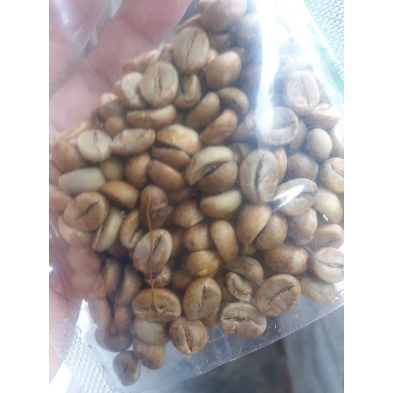 

greenbean robusta natural temanggung
