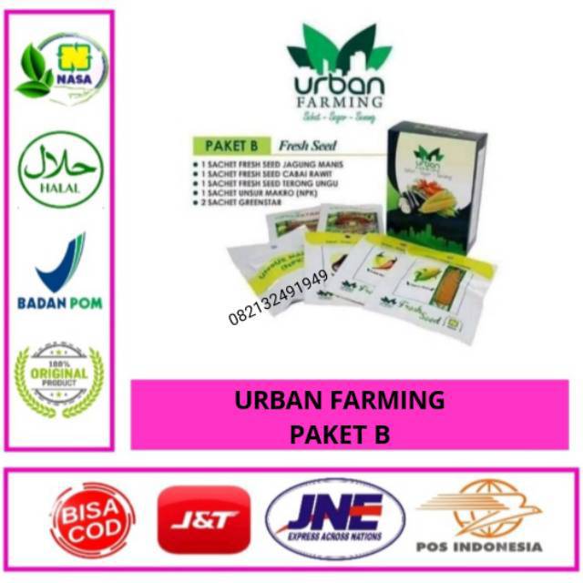 Bibit sayur Benih bibit sayuran Bibit sayur Bibit sayuran hidroponik Urban farming paket B