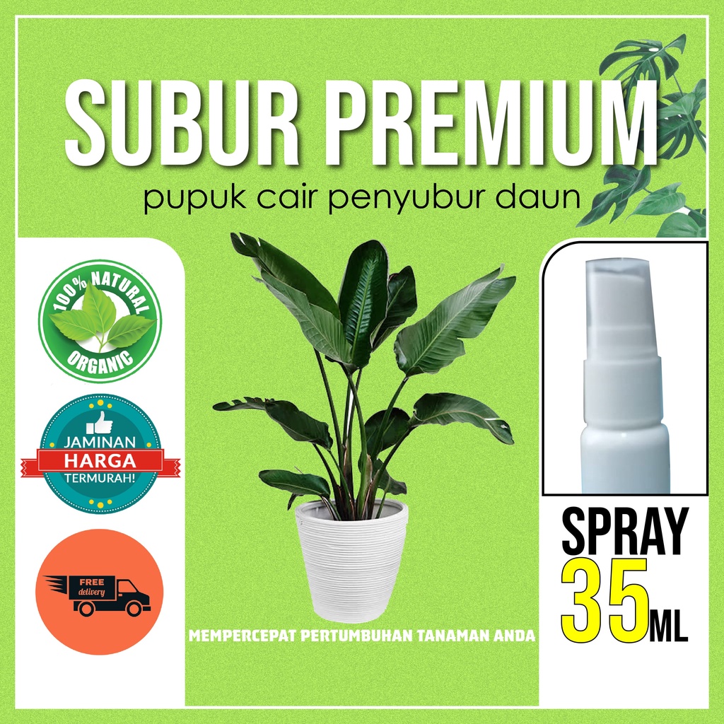PUPUK PENYUBUR DAUN 35 ML SUBUR Cairan Obat Semprot Perangsang Vitamin Booster Daun Aglonema Bonsai 