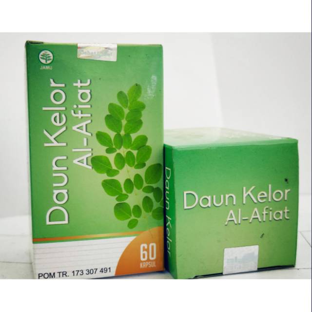 

DAUN KELOR