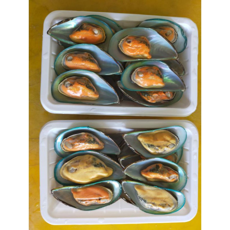 

KERANG HIJAU FROZEN CANGKANG SEBELAH LOKAL