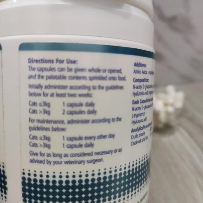 Cystophan Cat Urinary Obat Gangguan Saluran Kencing Kucing 5 Tablet