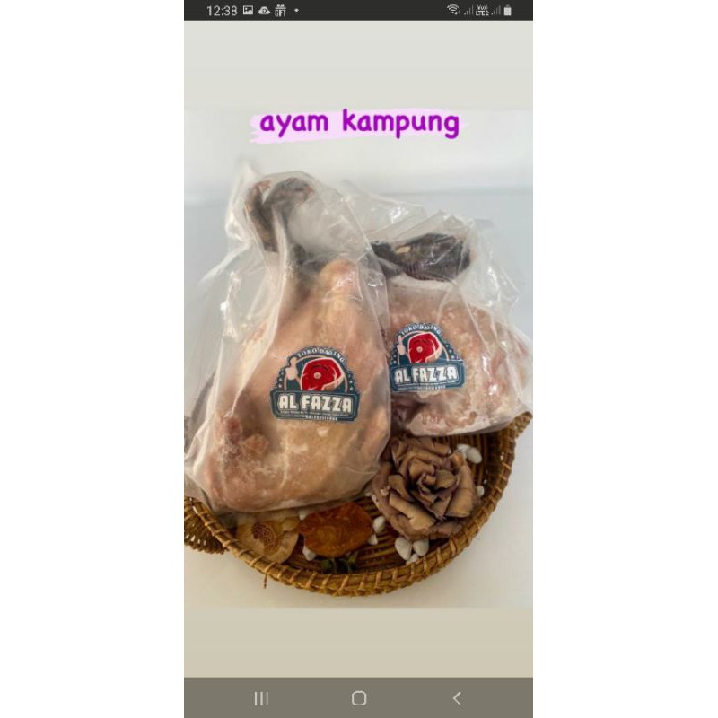 

Ayam kampung