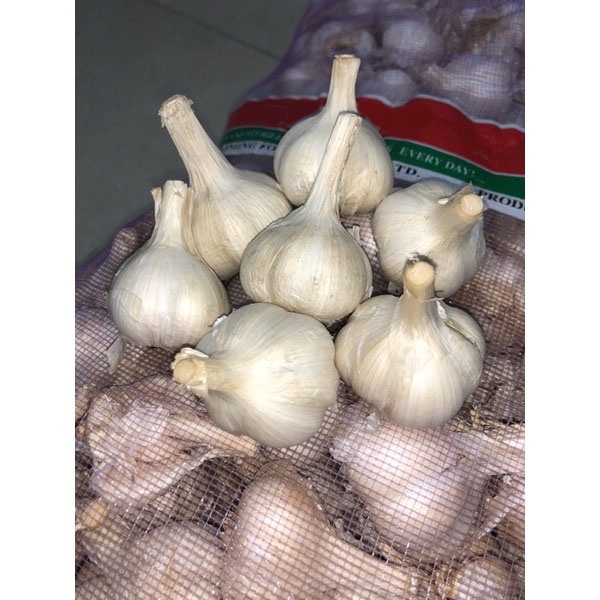 Bawang Putih Kating 1Kg Premium (tidak ada yang busuk)