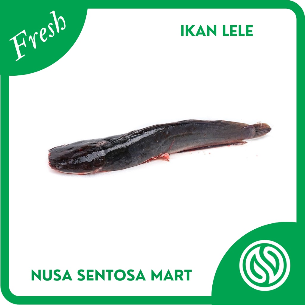 

Ikan Lele Segar – 500g