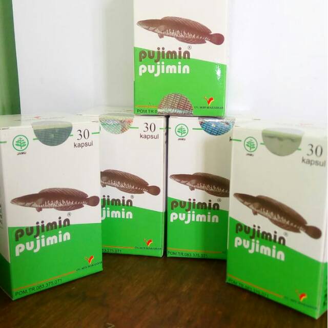 Pujimin/ ekstak ikan gabus