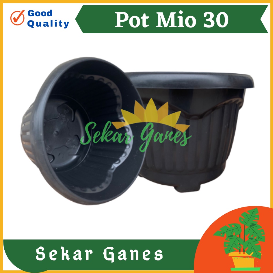 PROMO Pot Shallom Mio 30 Hitam Pot Bunga Plastik Tebal Murah Besar Kuat Motif Model Belimbing 30 cm Putih Hitam Selusin Lusinan Tebal - SHALLOM MIO 30 pot bunga bulat besar tebal murah TERMURAH