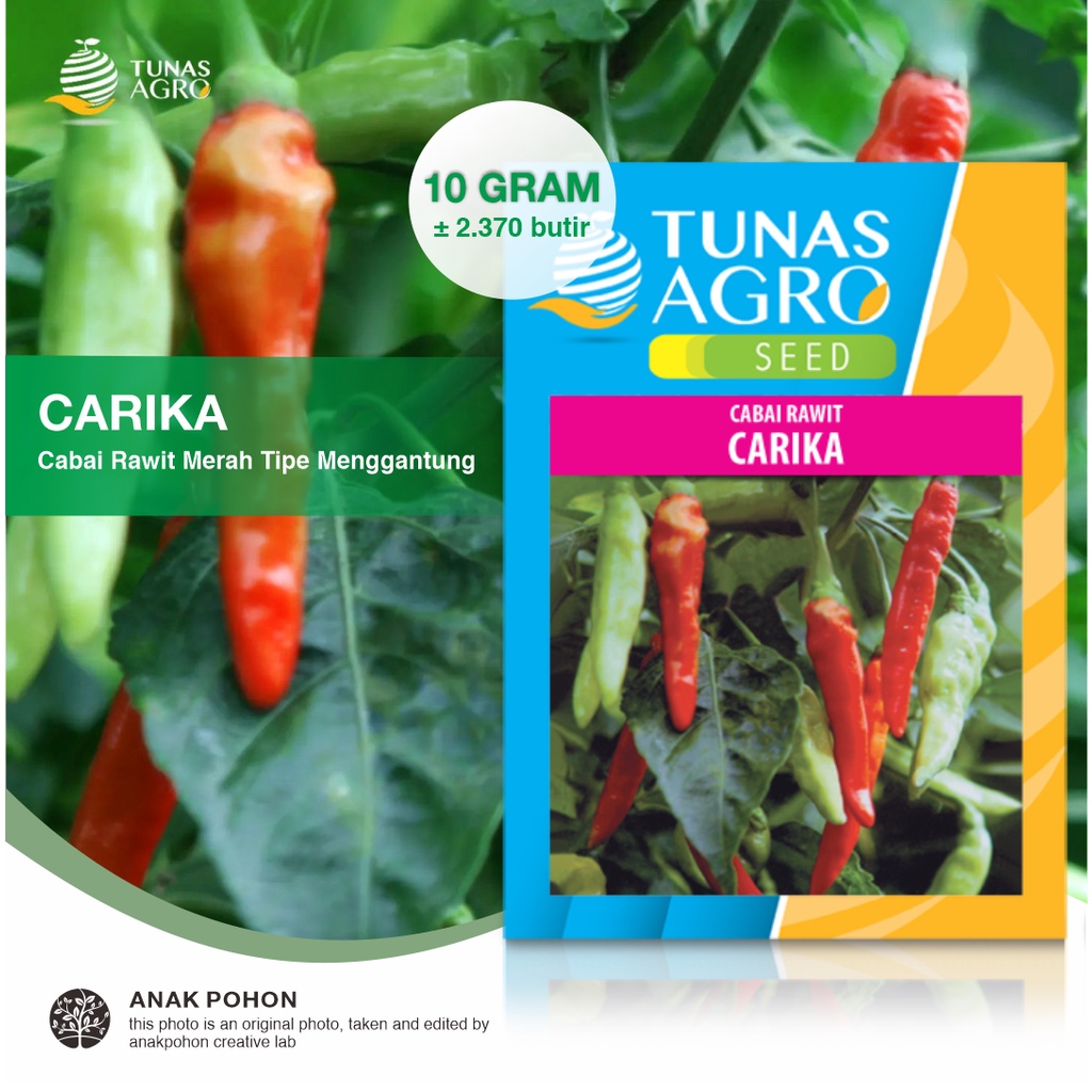 (1 PACK) Benih Cabai Rawit CARIKA Cabe Rawit Merah Pedas Tipe Merunduk - Tunas Agro Seed - 10 GRAM