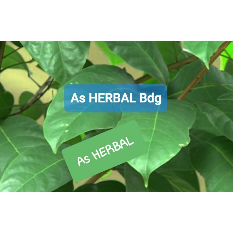 

Daun hantap atau daun antap segar 500 gram-az