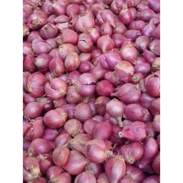 

Bawang Merah Kering Fresh | Kemasan 250g, 500g, 1kg