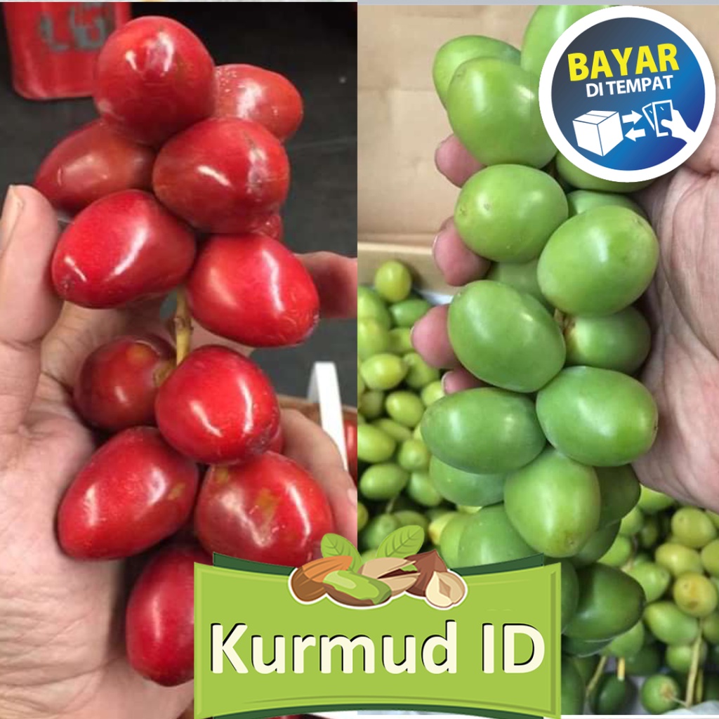 

1 Kg Kurma Muda Merah & Hijau|Ruthob Promil Segar bukan Frozen