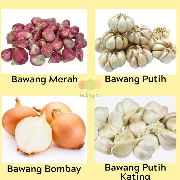 

[[COD]] Bawang Bombay 500 gr, Bawang Putih, Bawang Putih Kating, Bawang Merah CUCI GUDANG Kode 793