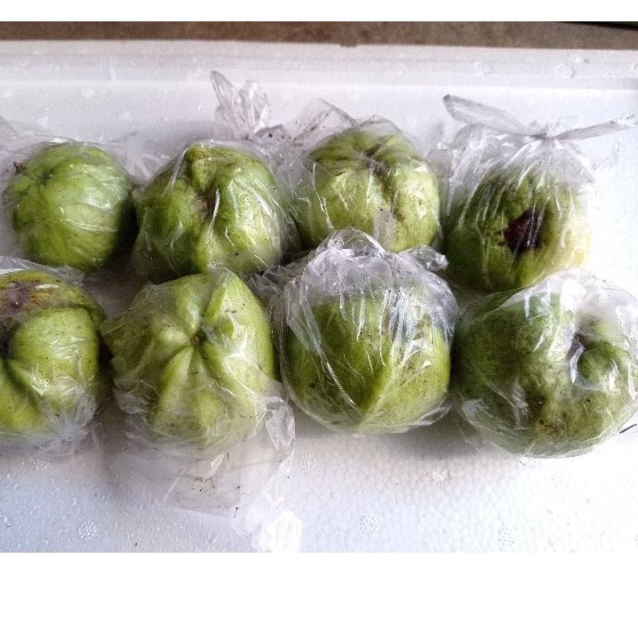 

✨Xpress Jambu kristal mini 1kg | Discount Today | Terlaris Today | TERATAS