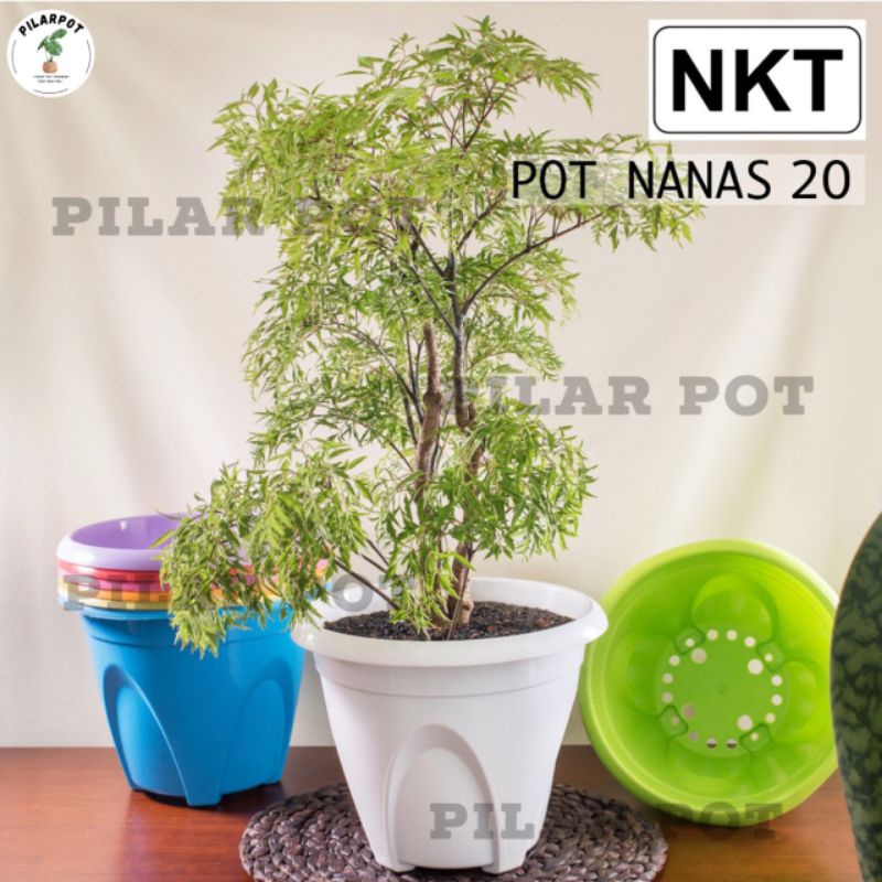 pot bunga tanaman NKT NANAS 20 warna warni + tatakan bawah