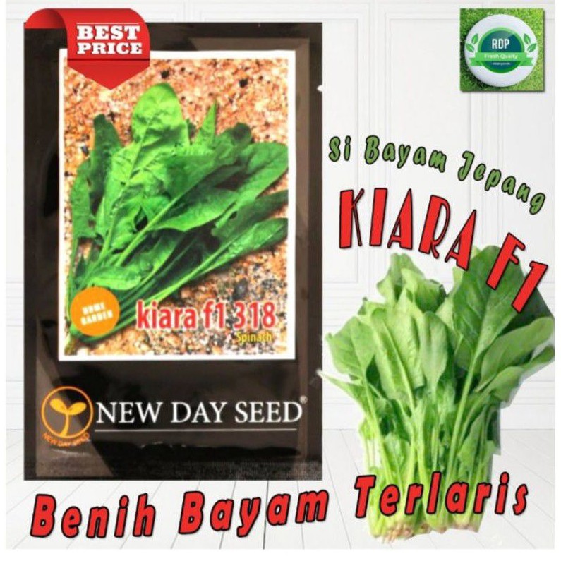 Benih Bayam Jepang Kiara f1 / Horenzo