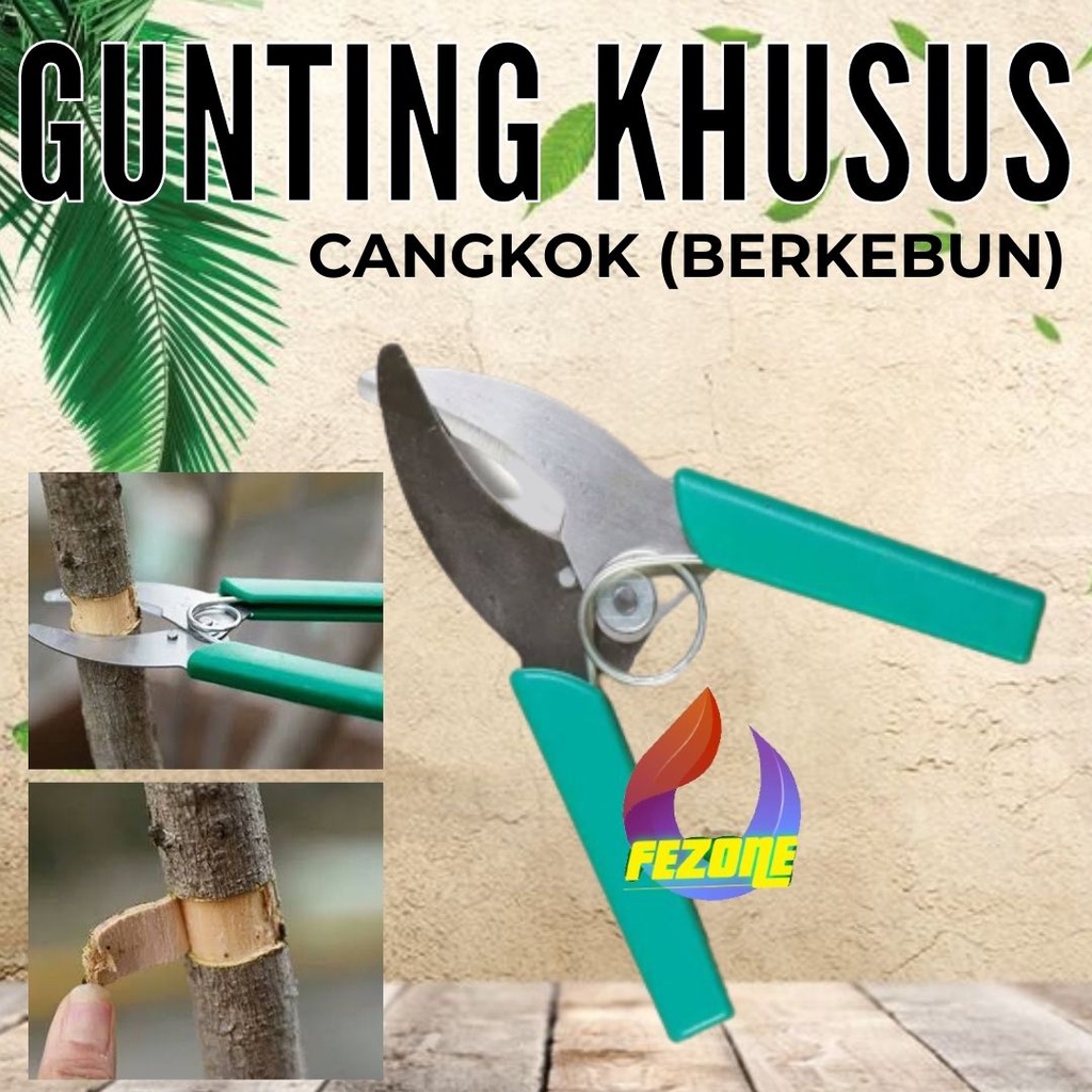 Gunting Untuk Cangkok Tanaman FEZONE