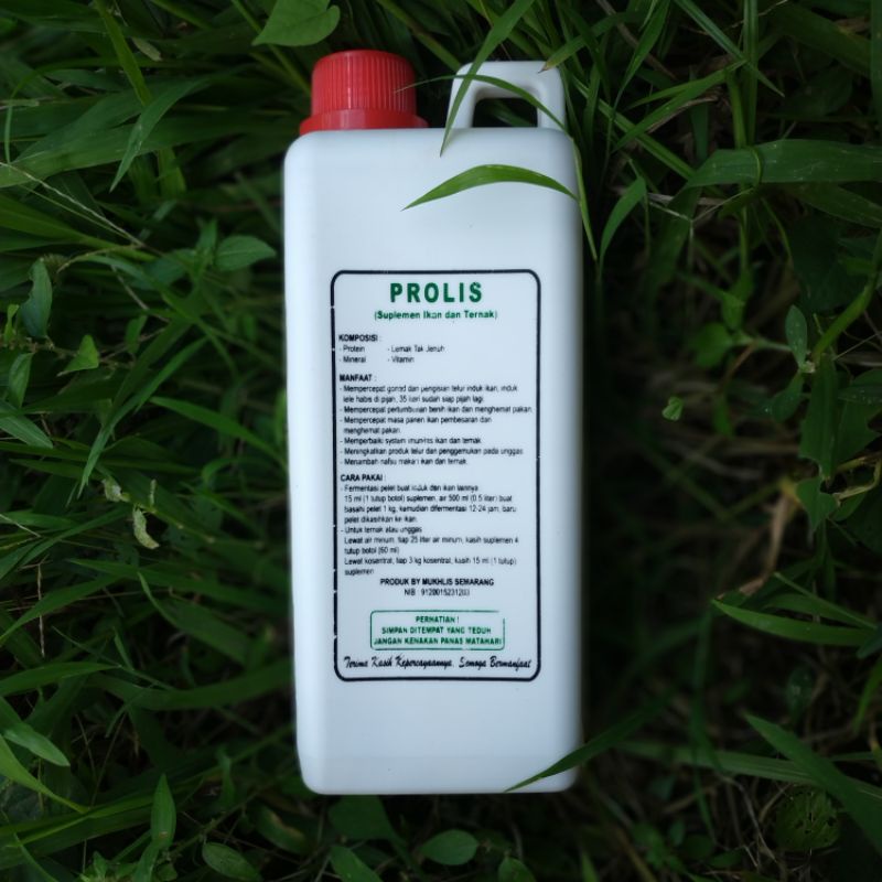 PROBIOTIK Ikan Probiotik Lele Pembesaran Ampuh