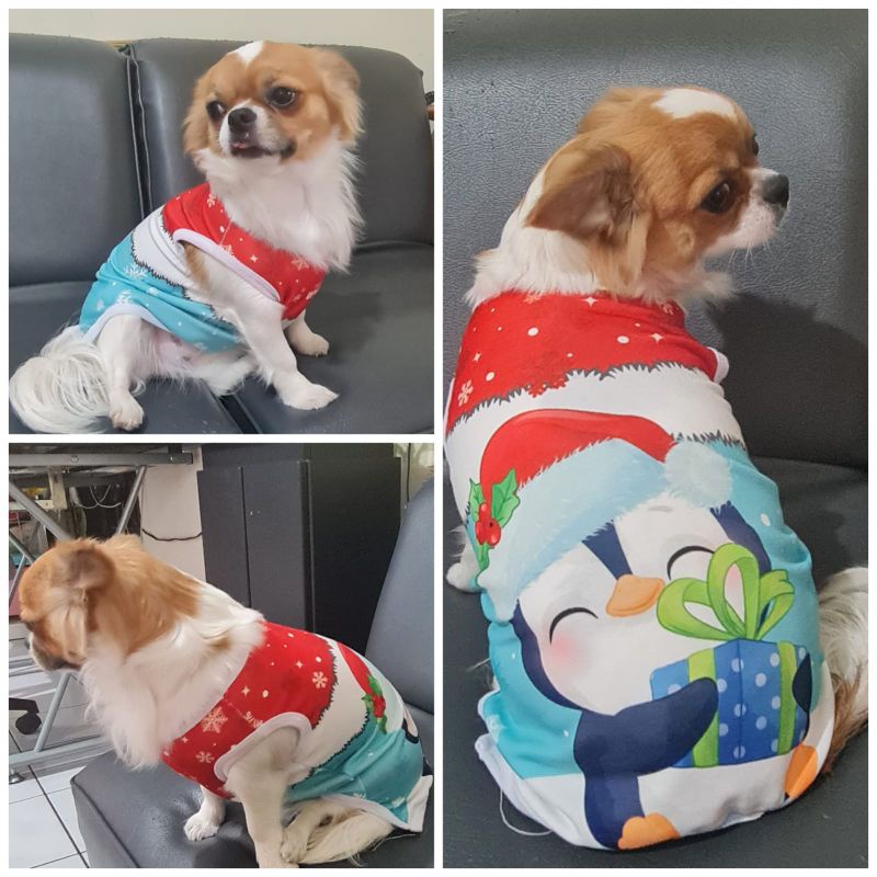 Baju Kaos Doggie Tema Natal Christmas Winter