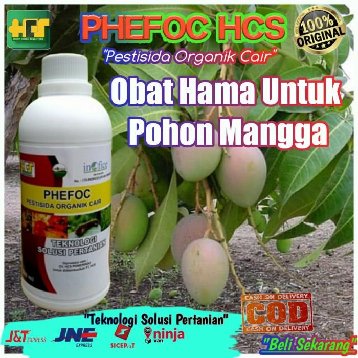 Obat Hama Utk Pohon Mangga/Obat Anti Lalat Buah/Phefoc Hcs