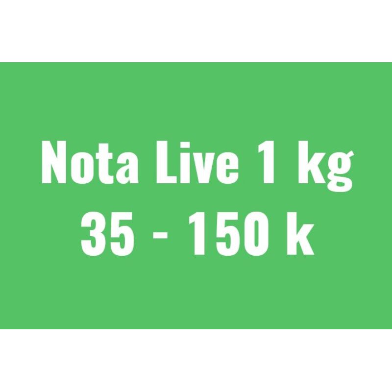 NOTA LIVE 1 KG