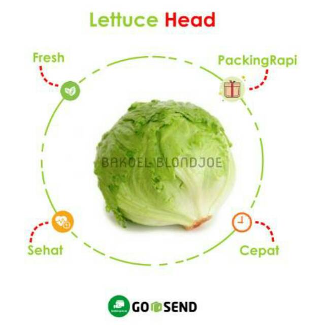 

LETTUCE HEAD 1000GRAM / SELADA/ FRESH VEGETABLES / VEGETABLE / SAYUR SAYURAN SEGAR