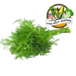 

Daun dill 500gr
